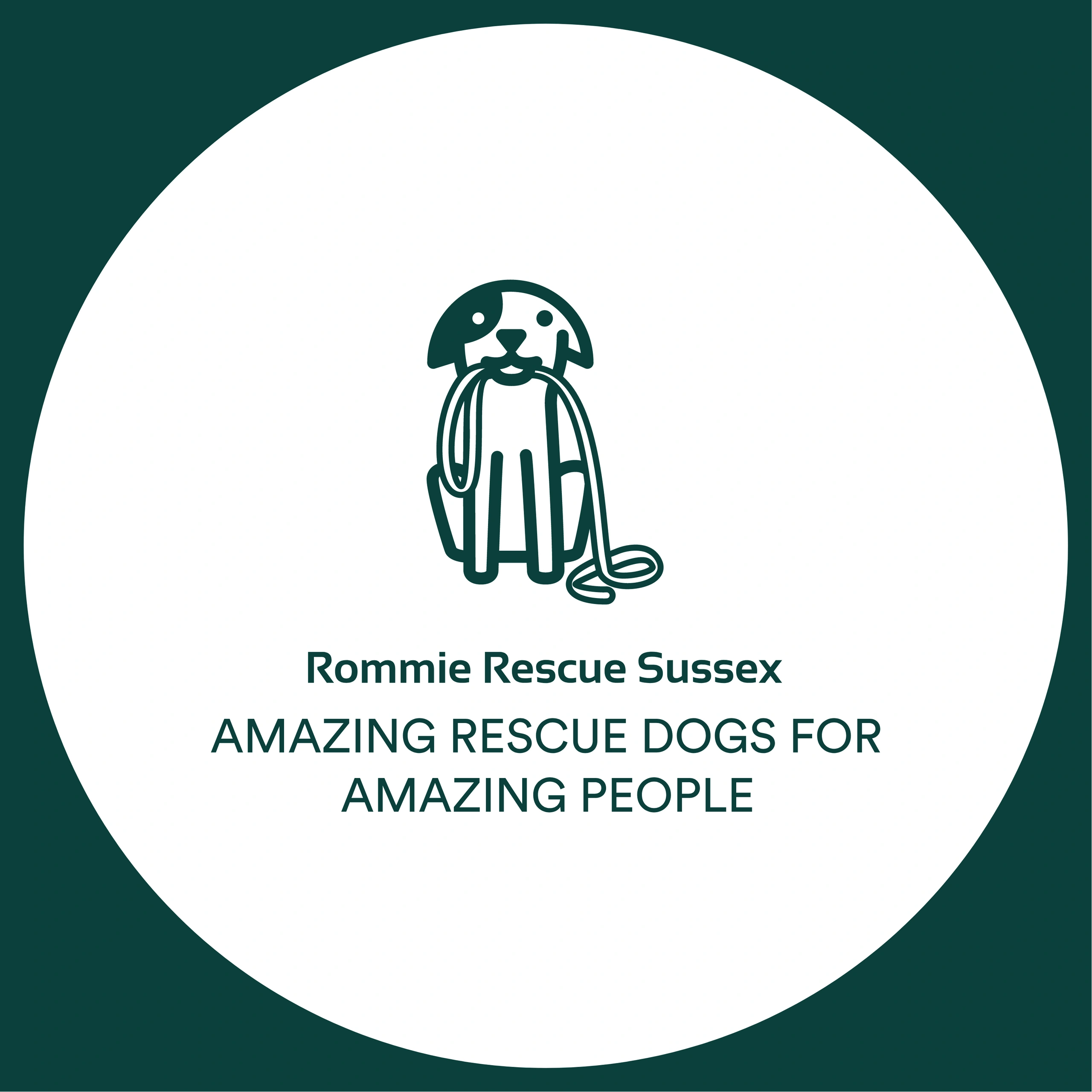 Romanian dog rescue sussex sales